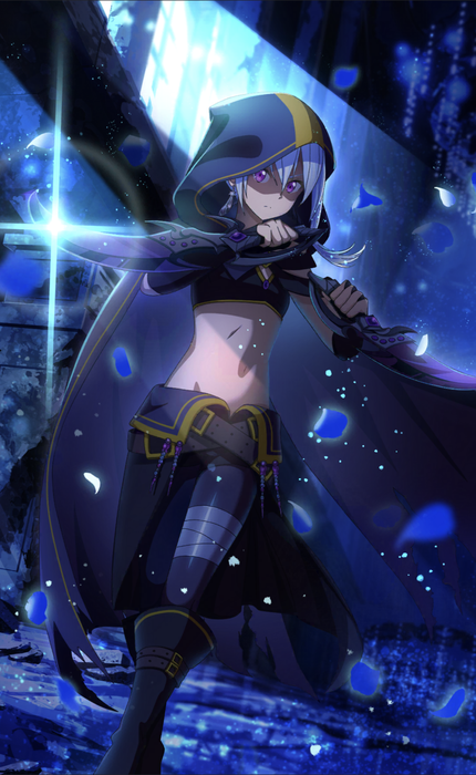 Character Layla [Dual Blades Cloaked in Shadow] SAO VS