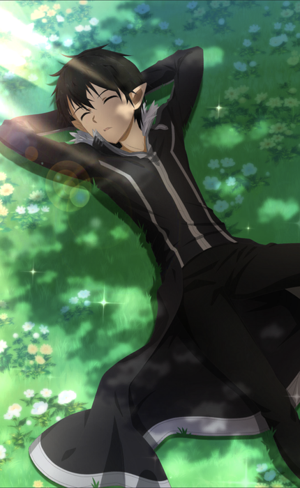 Character Kirito [Resting Amidst Nature] SAO VS